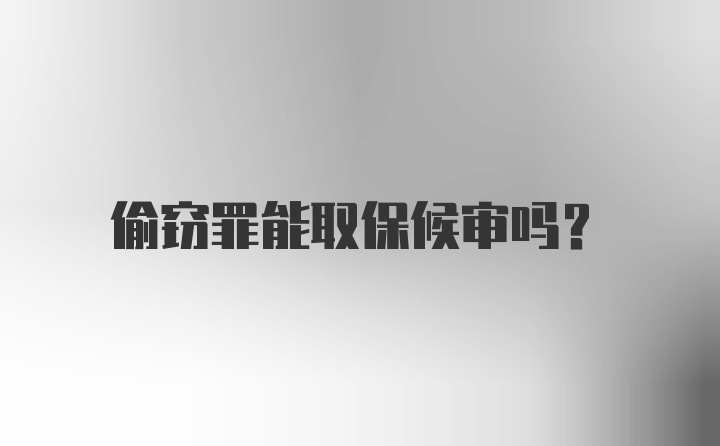 偷窃罪能取保候审吗?