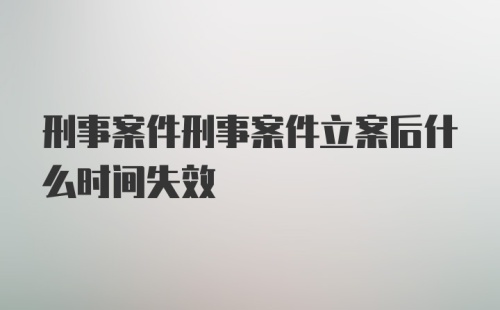 刑事案件刑事案件立案后什么时间失效