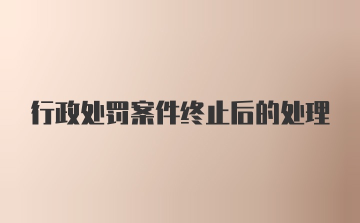 行政处罚案件终止后的处理