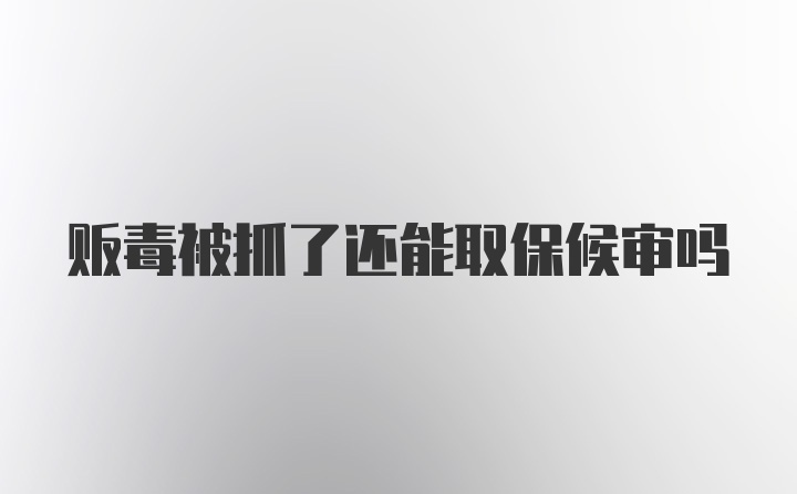 贩毒被抓了还能取保候审吗