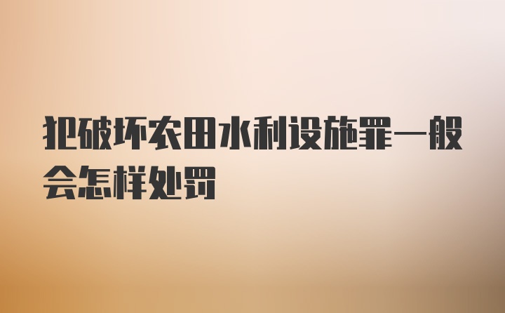 犯破坏农田水利设施罪一般会怎样处罚