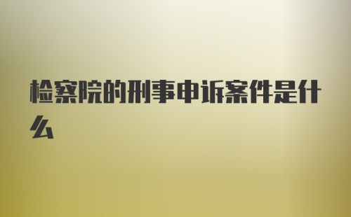 检察院的刑事申诉案件是什么