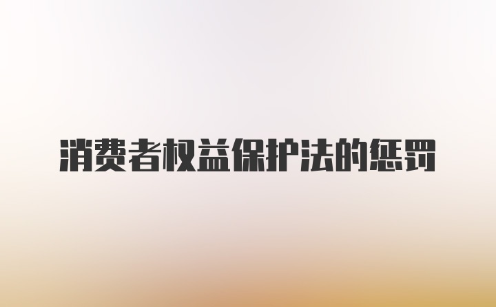 消费者权益保护法的惩罚