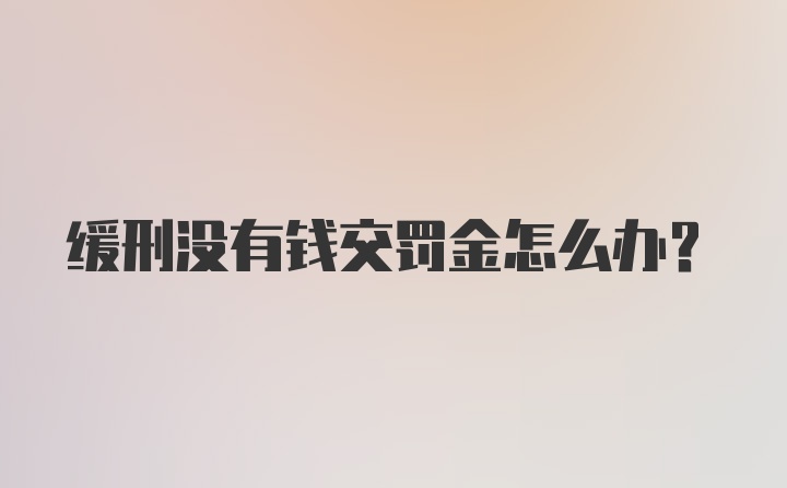 缓刑没有钱交罚金怎么办？