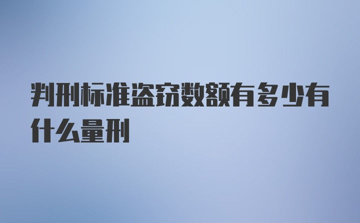 判刑标准盗窃数额有多少有什么量刑