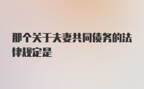 那个关于夫妻共同债务的法律规定是