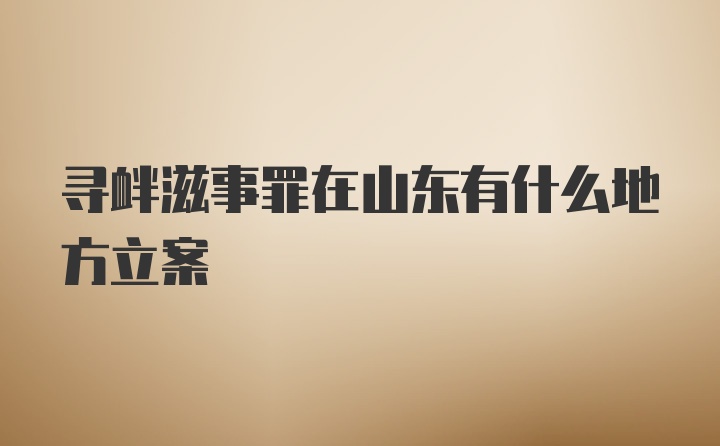 寻衅滋事罪在山东有什么地方立案