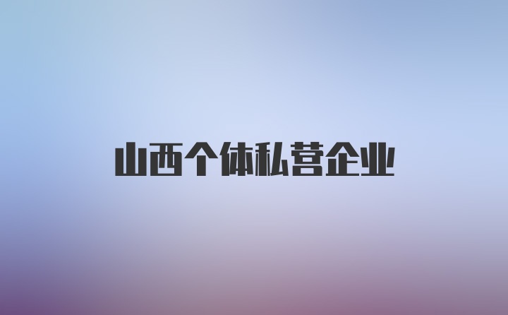 山西个体私营企业