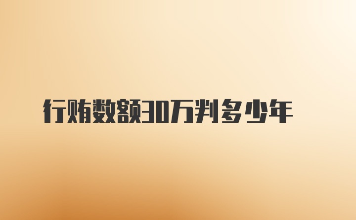 行贿数额30万判多少年