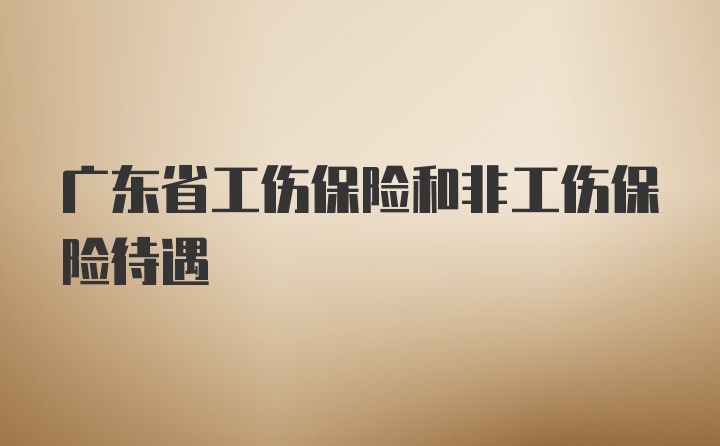 广东省工伤保险和非工伤保险待遇