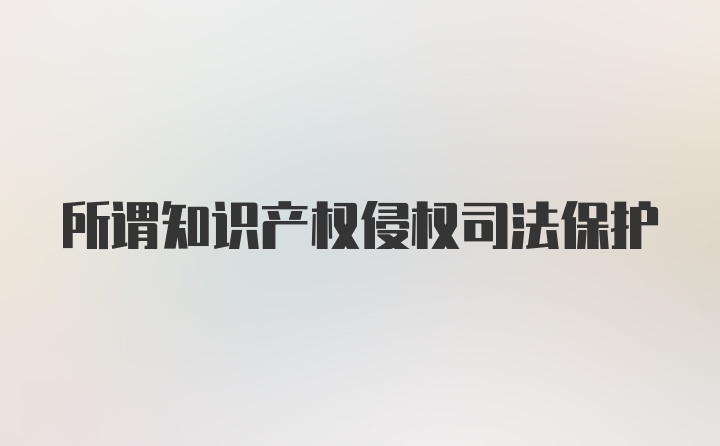 所谓知识产权侵权司法保护