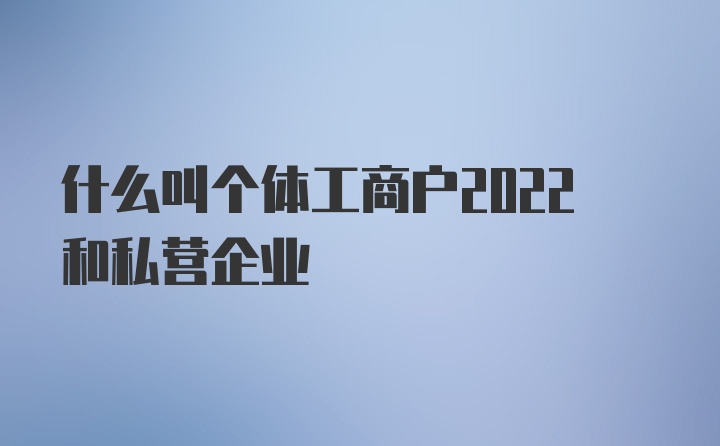 什么叫个体工商户2022和私营企业