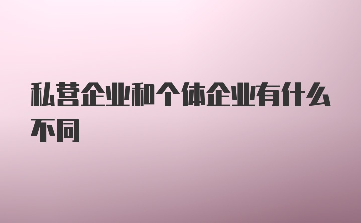 私营企业和个体企业有什么不同