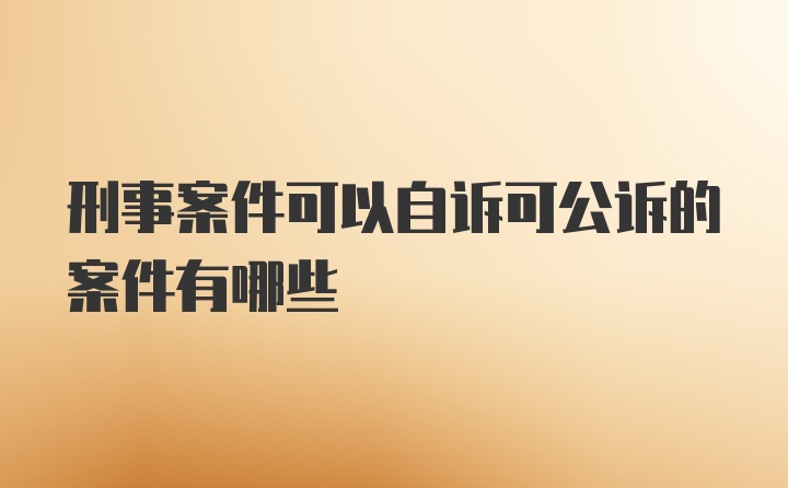 刑事案件可以自诉可公诉的案件有哪些