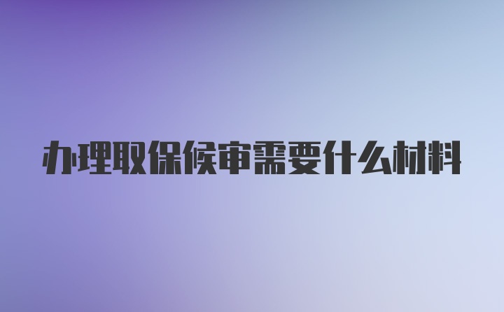 办理取保候审需要什么材料