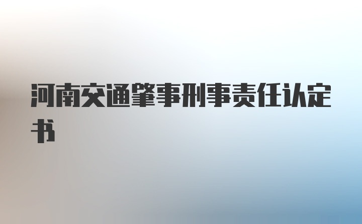 河南交通肇事刑事责任认定书