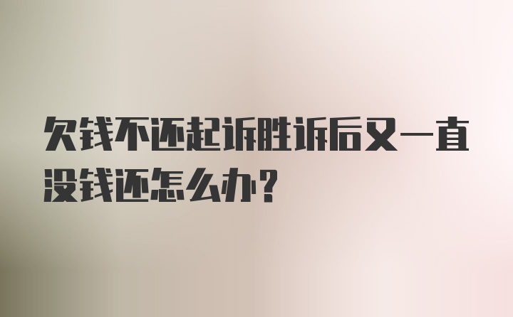 欠钱不还起诉胜诉后又一直没钱还怎么办？