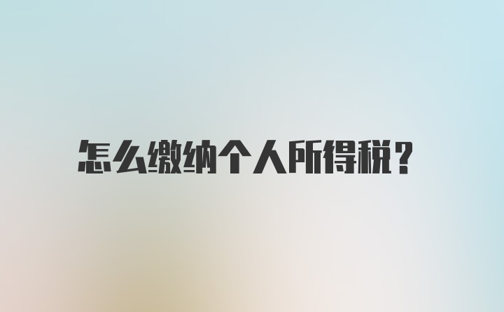 怎么缴纳个人所得税？