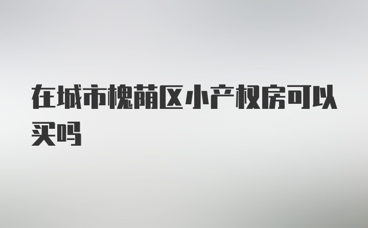 在城市槐荫区小产权房可以买吗