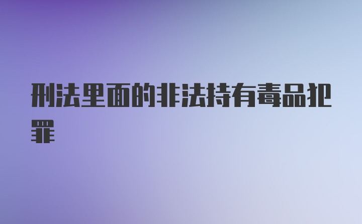 刑法里面的非法持有毒品犯罪