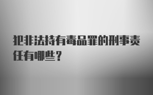 犯非法持有毒品罪的刑事责任有哪些？