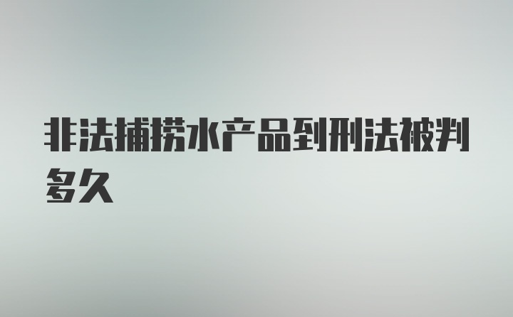 非法捕捞水产品到刑法被判多久