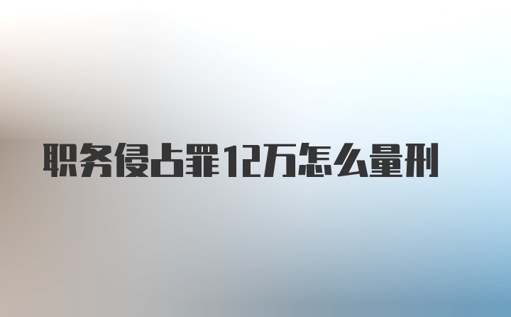 职务侵占罪12万怎么量刑