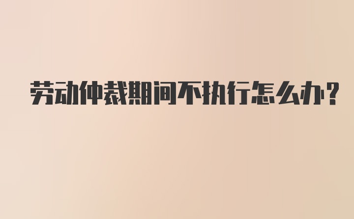 劳动仲裁期间不执行怎么办？