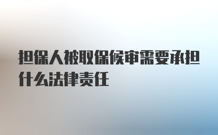 担保人被取保候审需要承担什么法律责任