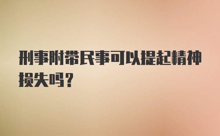 刑事附带民事可以提起精神损失吗？