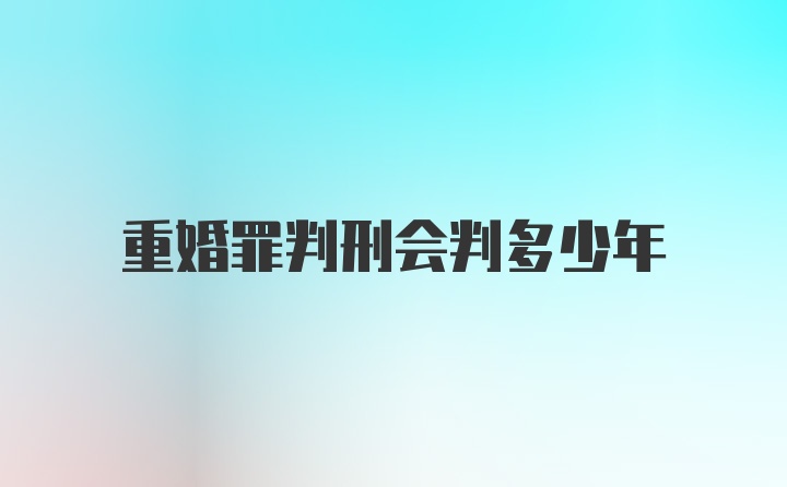 重婚罪判刑会判多少年