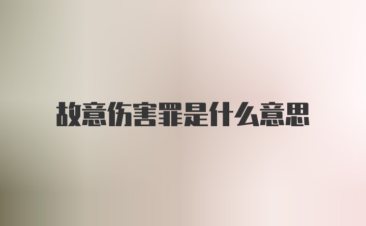 故意伤害罪是什么意思