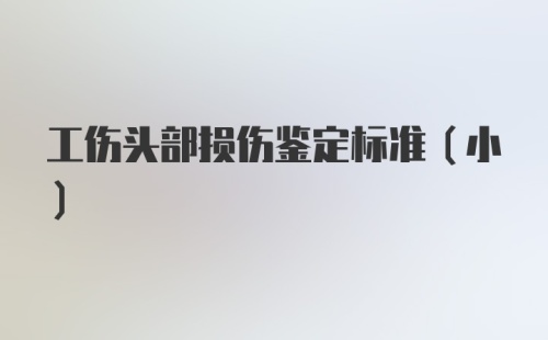 工伤头部损伤鉴定标准（小）