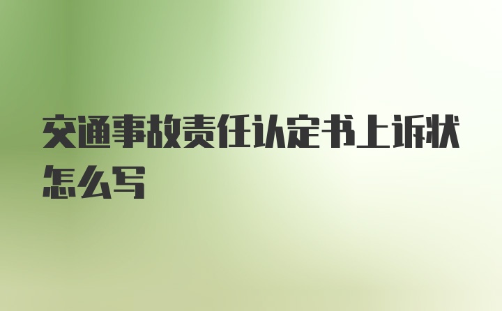 交通事故责任认定书上诉状怎么写