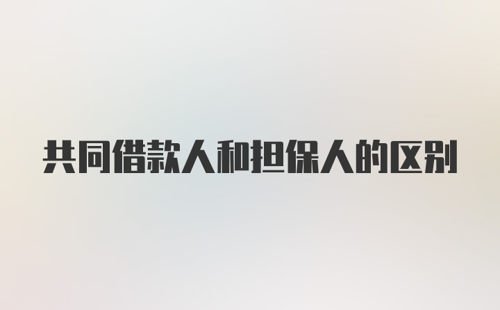 共同借款人和担保人的区别