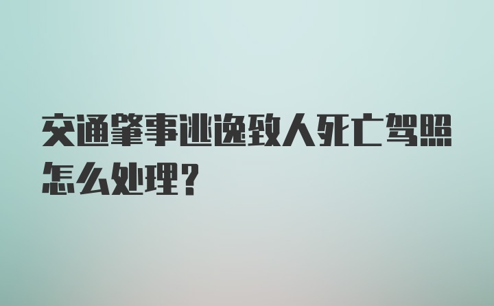 交通肇事逃逸致人死亡驾照怎么处理？