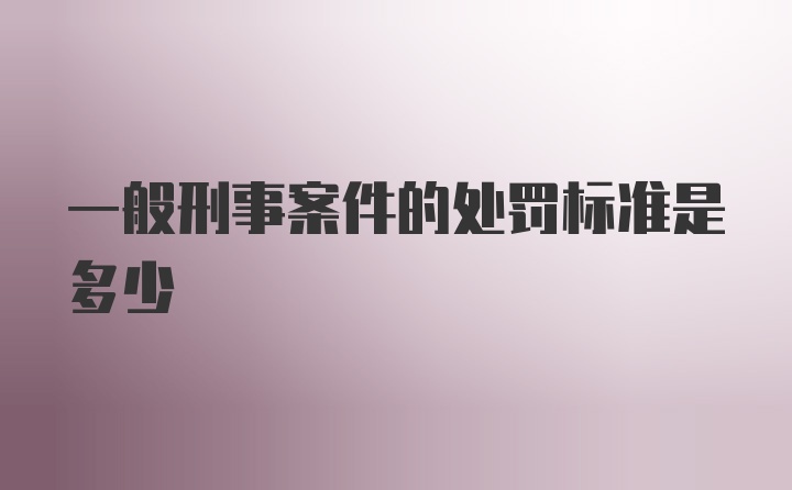 一般刑事案件的处罚标准是多少