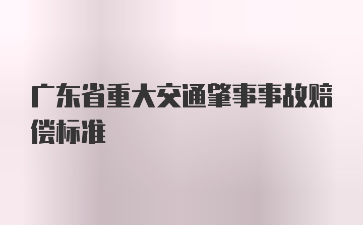 广东省重大交通肇事事故赔偿标准