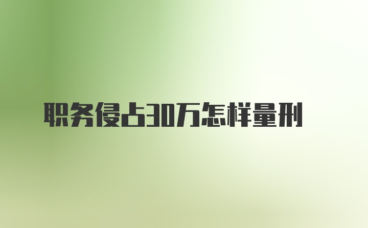 职务侵占30万怎样量刑