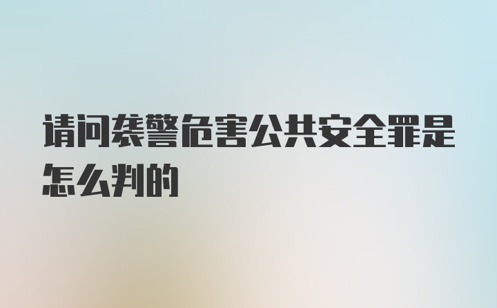 请问袭警危害公共安全罪是怎么判的