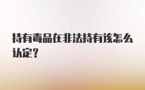 持有毒品在非法持有该怎么认定？