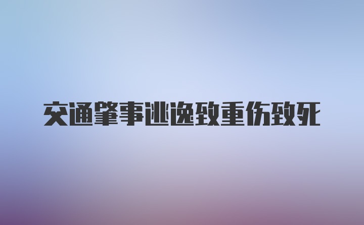 交通肇事逃逸致重伤致死