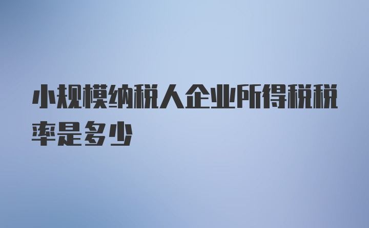 小规模纳税人企业所得税税率是多少