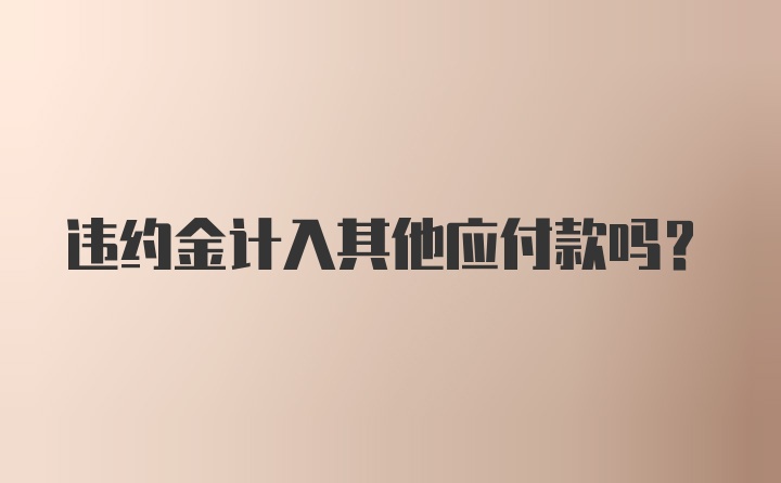 违约金计入其他应付款吗？