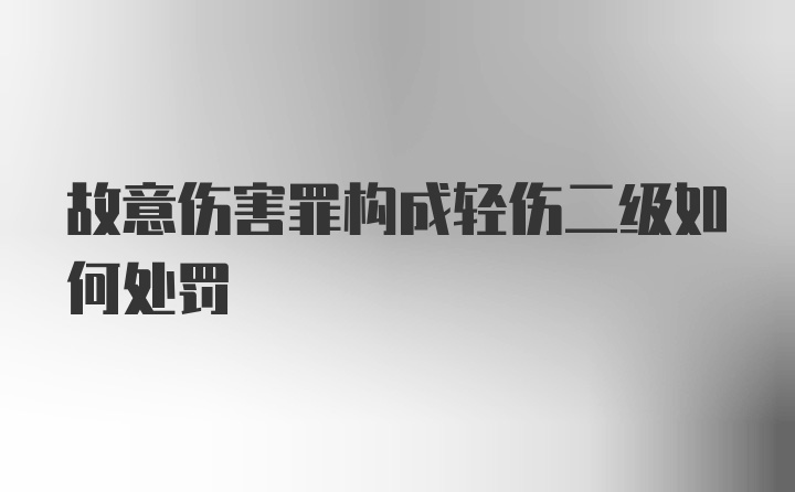 故意伤害罪构成轻伤二级如何处罚