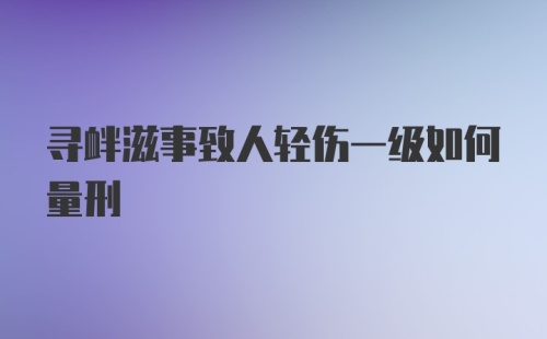 寻衅滋事致人轻伤一级如何量刑