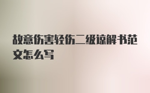 故意伤害轻伤二级谅解书范文怎么写