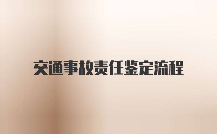 交通事故责任鉴定流程