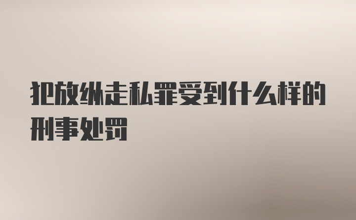 犯放纵走私罪受到什么样的刑事处罚