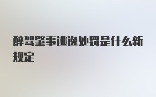 醉驾肇事逃逸处罚是什么新规定